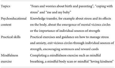 Acceptance, experiences, and needs of hospitalized pregnant women toward an electronic mindfulness-based intervention: A pilot mixed-methods study